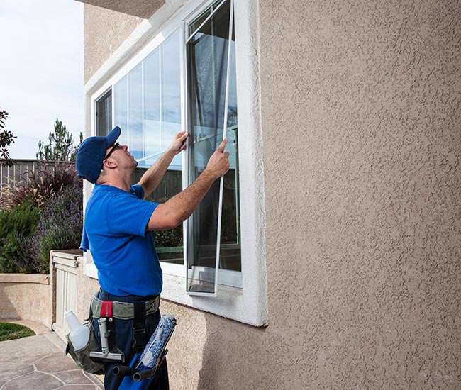 View All Window Services